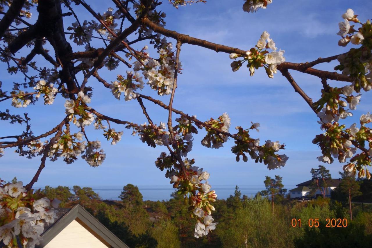 Risor Bed & Breakfast, Randvik Strand Buitenkant foto